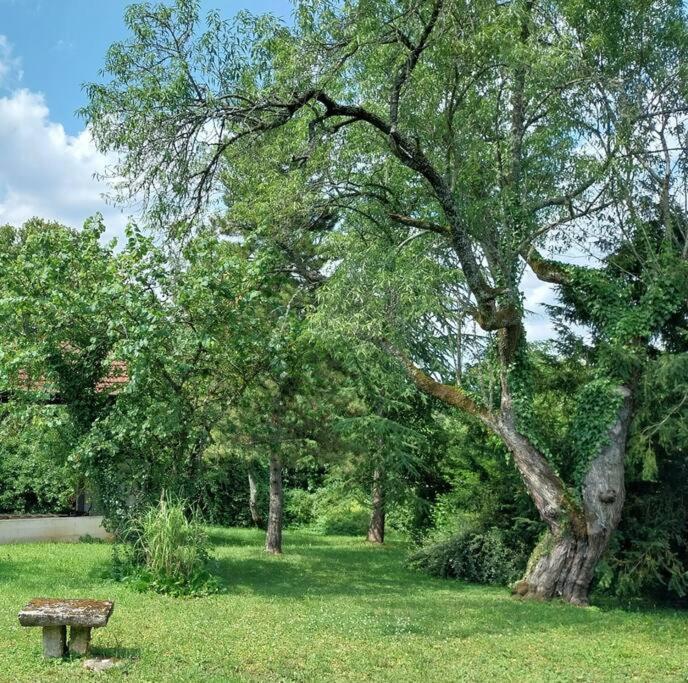 Magical Mellecey Villa Dış mekan fotoğraf